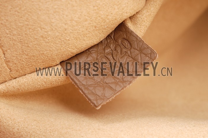 Louis Vuitton Volta Grey Bag