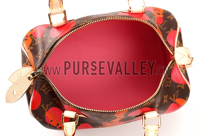 Louis Vuitton Speedy 30 Ramages