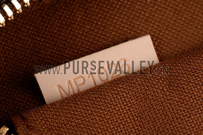 Louis Vuitton Monogram Speedy 25 Bag With Chain Shoulder Strap