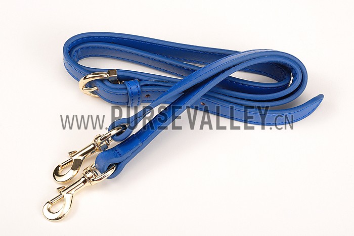 Salvatore Ferragamo Sofia Mini Leather Tote Blue