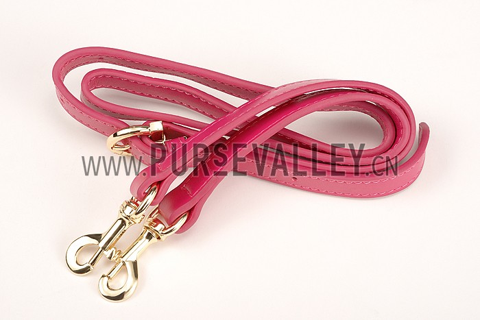 Salvatore Ferragamo Sofia Mini Leather Tote Rose Pink