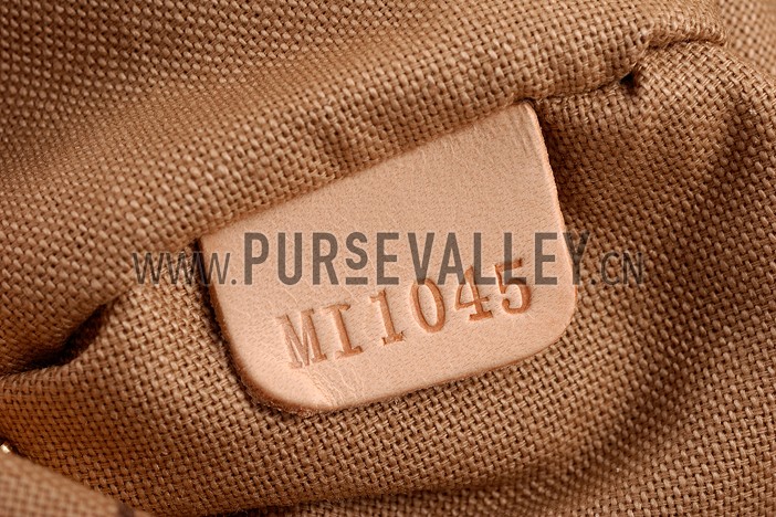 Louis Vuitton Monogram Delightful PM