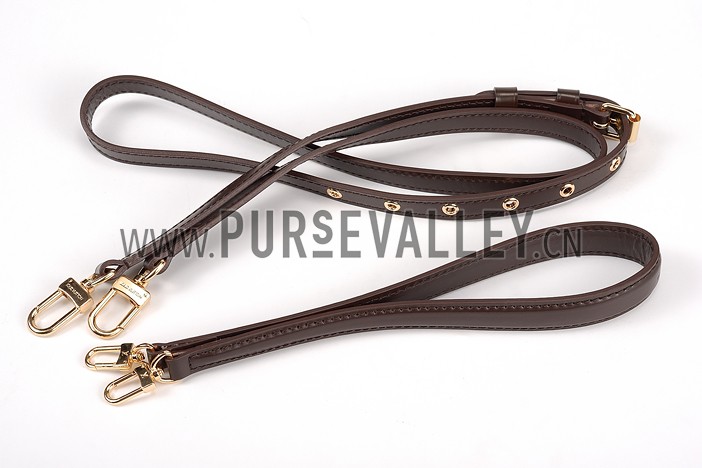 Louis Vuitton Damier Ebene Venice Bag