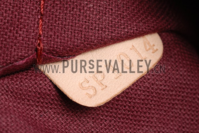 Louis Vuitton Damier Canvas Hoxton PM