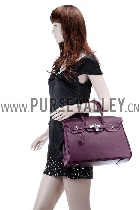 Hermes Birkin Plum