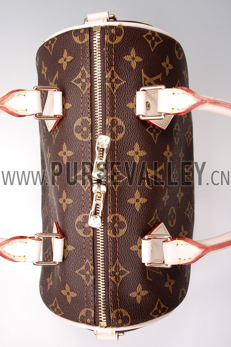 Louis Vuitton Monogram Speedy 25 with Shoulder Strap