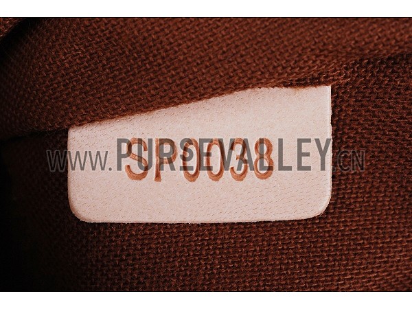 Louis Vuitton Odeon GM