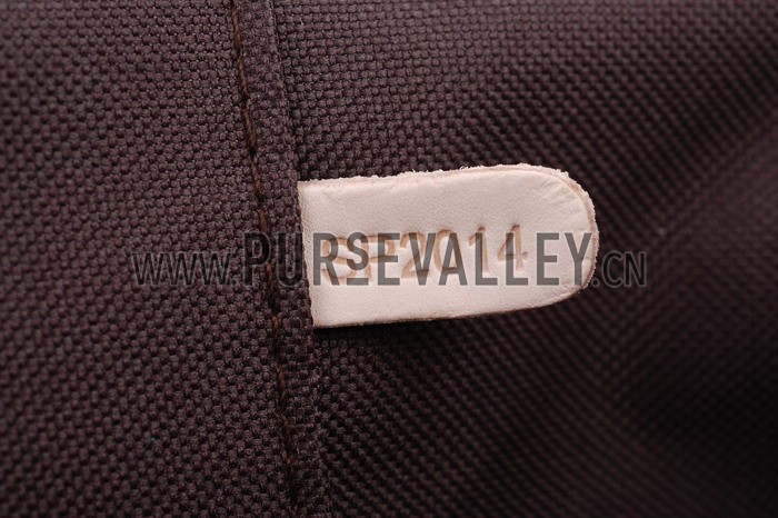 Louis Vuitton Pegase 55