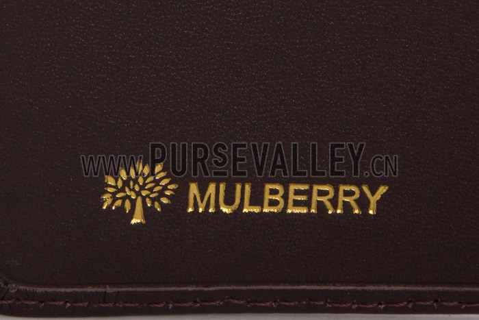 Mulberry Brown Organizer