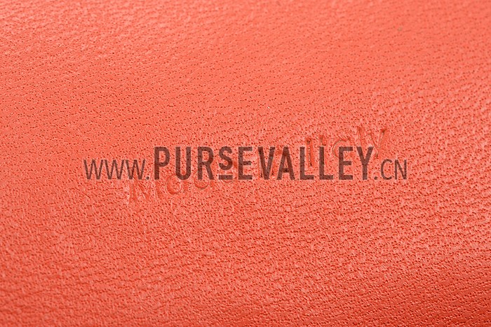 Celine Trotteur Bag Orange 608234