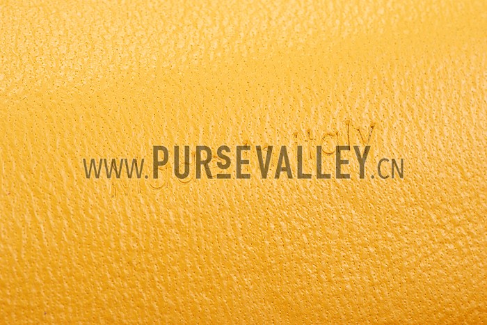 Celine Trotteur Bag Soft Leather Yellow 608236