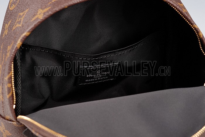 Louis Vuitton Monogram Palm Springs Backpack PM