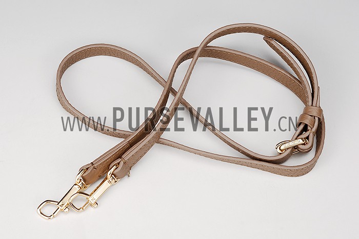 Louis Vuitton Volta Grey Bag