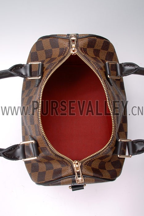 Louis Vuitton Damier Speedy 25 with Shoulder Strap