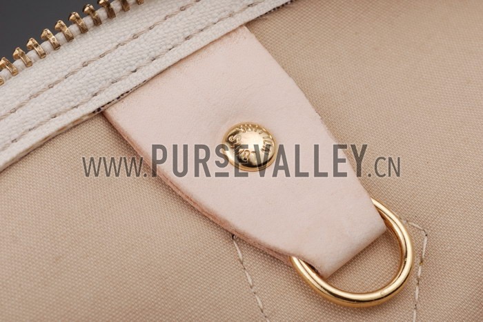 Louis Vuitton Damier Azur Speedy 35