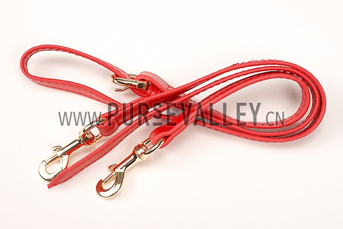 Salvatore Ferragamo Sofia Red Bag