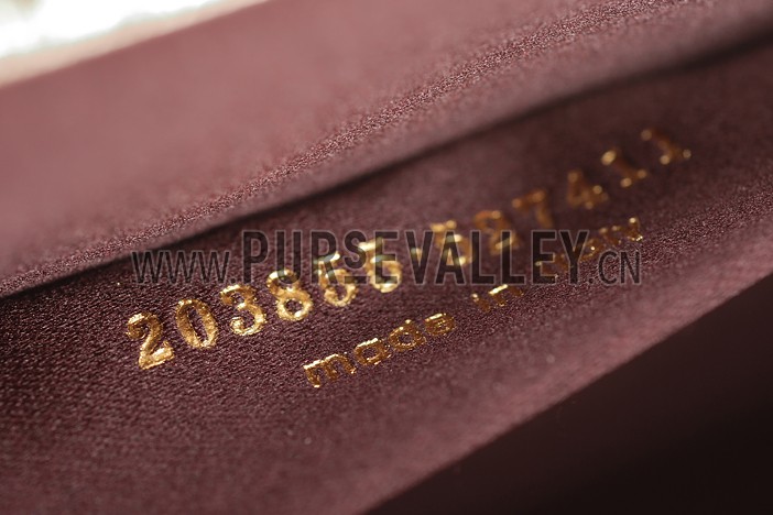 Saint Laurent Belle De Jour Clutch Gold 608312