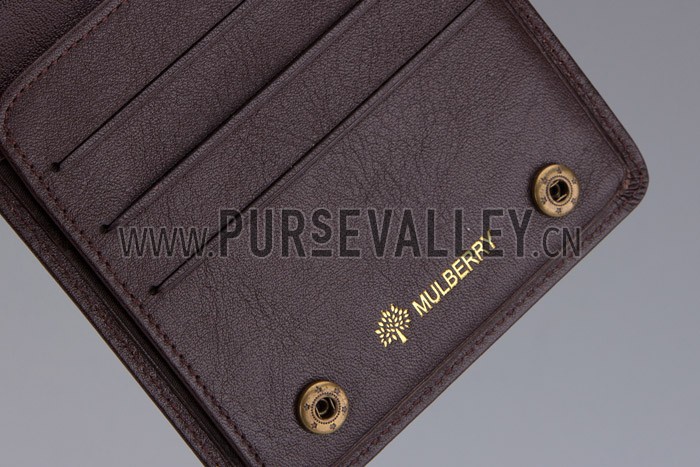 Mulberry Brown Organizer