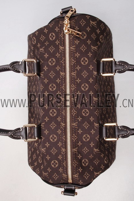 Louis Vuitton Speedy 30 Fusain