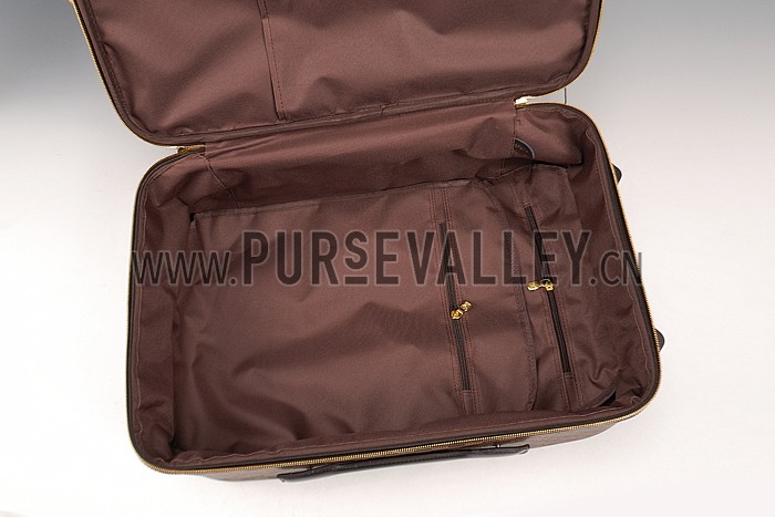 Louis Vuitton Damier Pegase 55