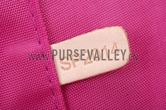 Louis Vuitton Light Plum Vernis Pegase 55