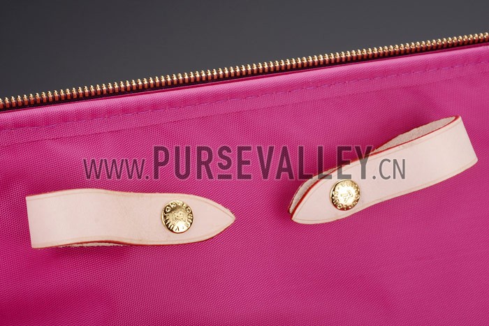 Louis Vuitton Light Plum Vernis Pegase 55