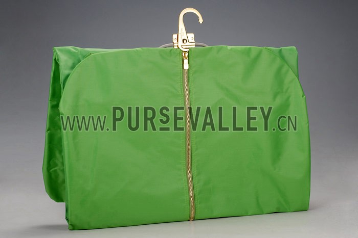 Louis Vuitton Green Vernis Pegase 55