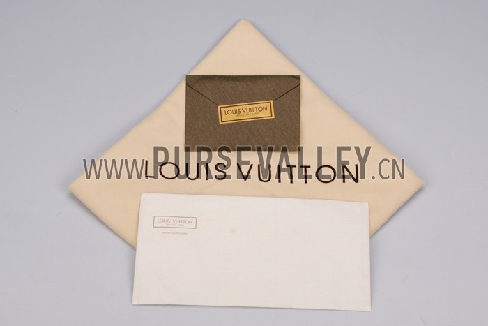 Louis Vuitton Delightful PM