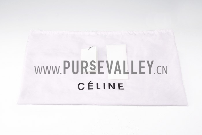 Celine Trapeze Beige Bag 607302