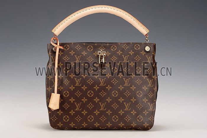 Louis Vuitton Monogram Gaia Bag Black