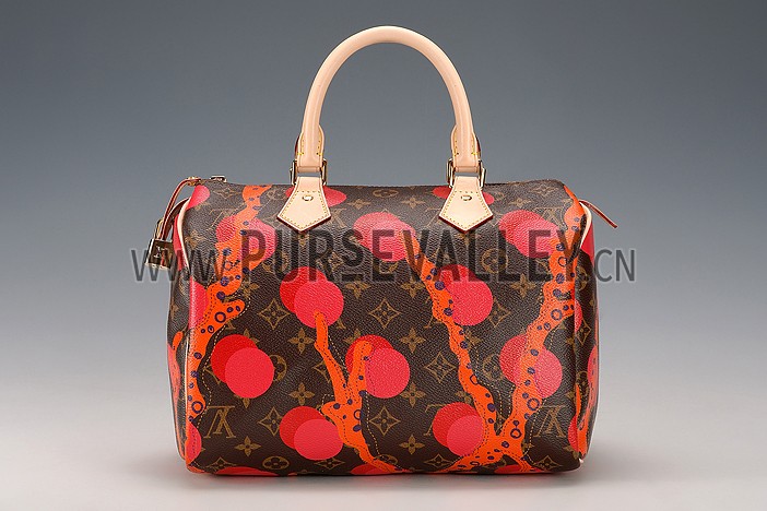 Louis Vuitton Speedy 30 Ramages