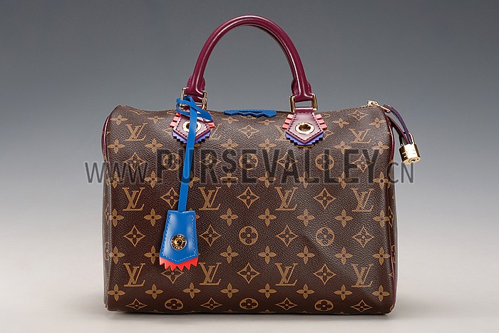Louis Vuitton Monogram Totem Speedy Plum
