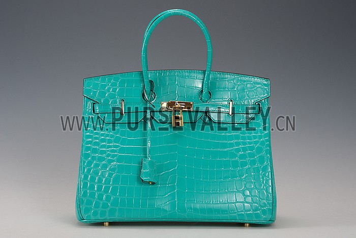 Hermes Birkin 35 Crocodile Leather Lagoon 608054
