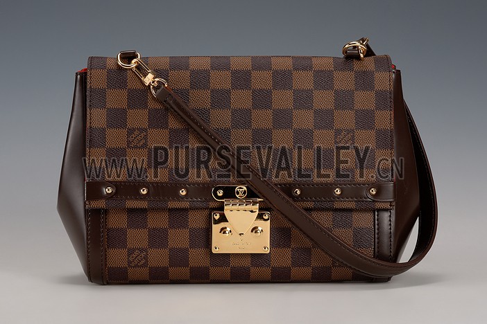Louis Vuitton Damier Ebene Venice Bag