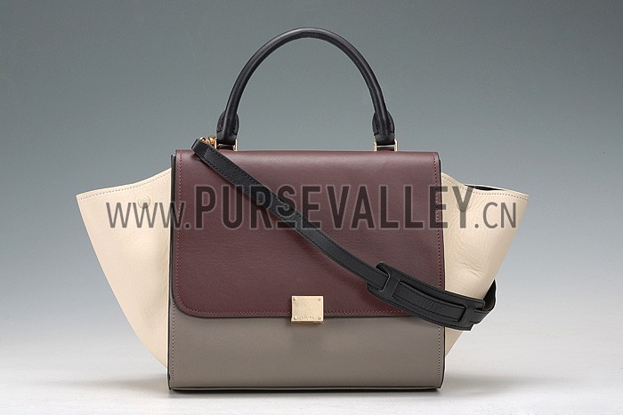 Celine Trapeze Beige Bag 607302