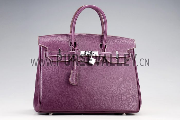 Hermes Birkin Plum