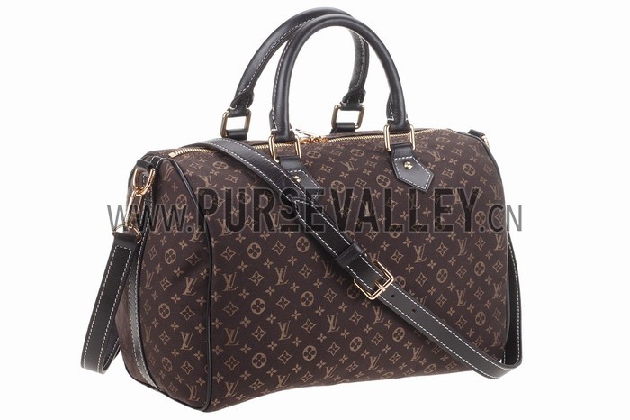 Louis Vuitton Speedy 30 Fusain