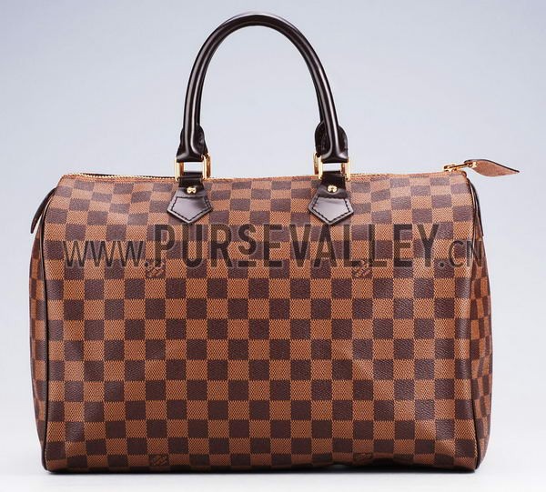 Louis Vuitton Damier Speedy 35