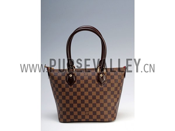Louis Vuitton Damier Canvas Saleya PM