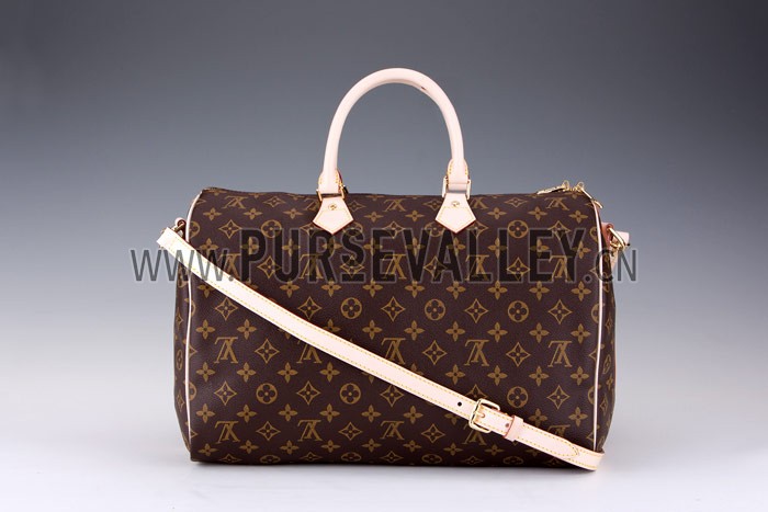 Louis Vuitton Monogram Speedy