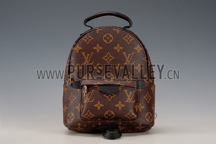 Louis Vuitton Monogram Palm Springs Backpack PM