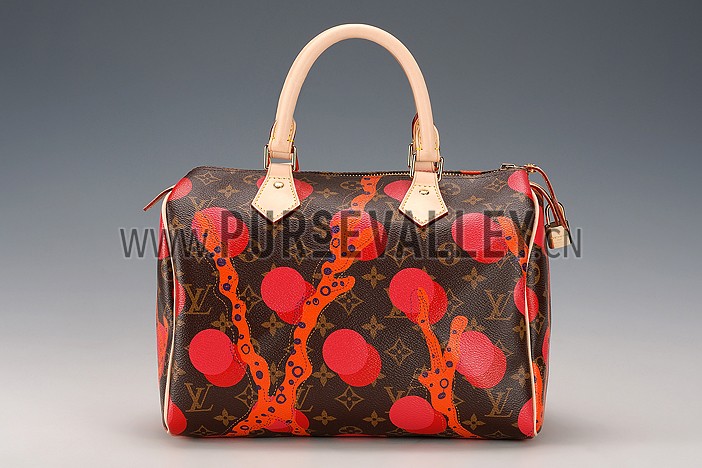 Louis Vuitton Speedy 30 Ramages