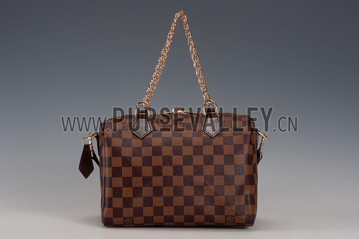 Louis Vuitton Damier Ebene Speedy 25 Bag With Chain Shoulder Strap