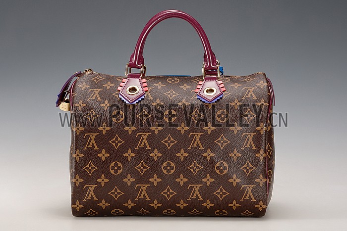 Louis Vuitton Monogram Totem Speedy Plum