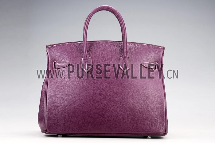 Hermes Birkin Plum