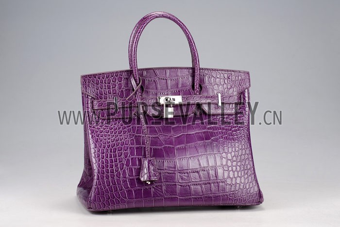 Hermes Birkin Bag Croc Purple