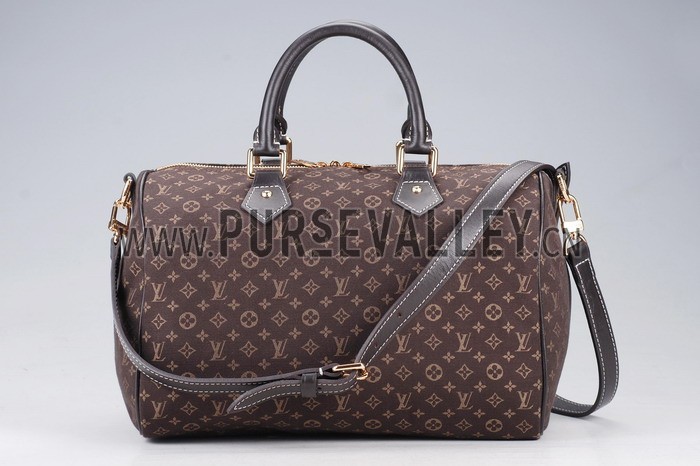 Louis Vuitton Speedy 30 Fusain