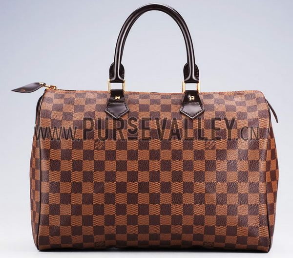 Louis Vuitton Damier Speedy 35