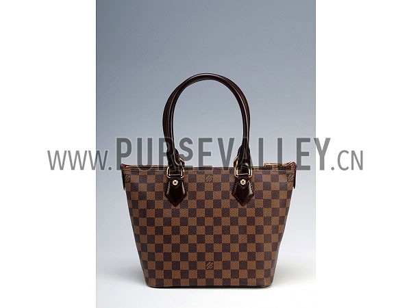 Louis Vuitton Damier Canvas Saleya PM