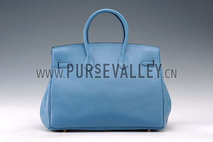 Hermes Birkin Horse Embossed Gold Hardware Tote Blue